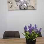 Apartment Toni *